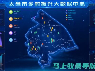 数据驱动乡村振兴：镇统计站站长提供科学依据、促进乡村繁荣