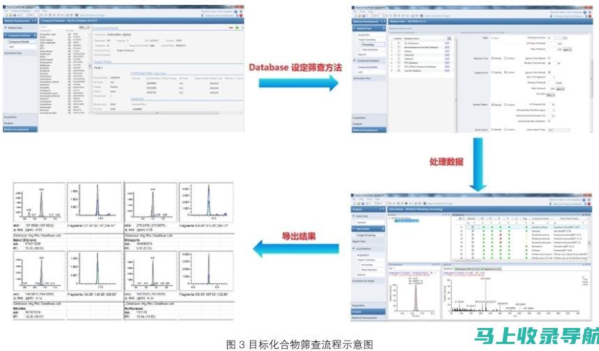 建立高质量的反向链接以提高您的网站权威