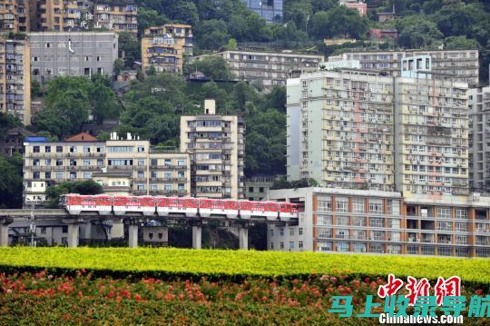 乡镇站长：基层民主的推动者