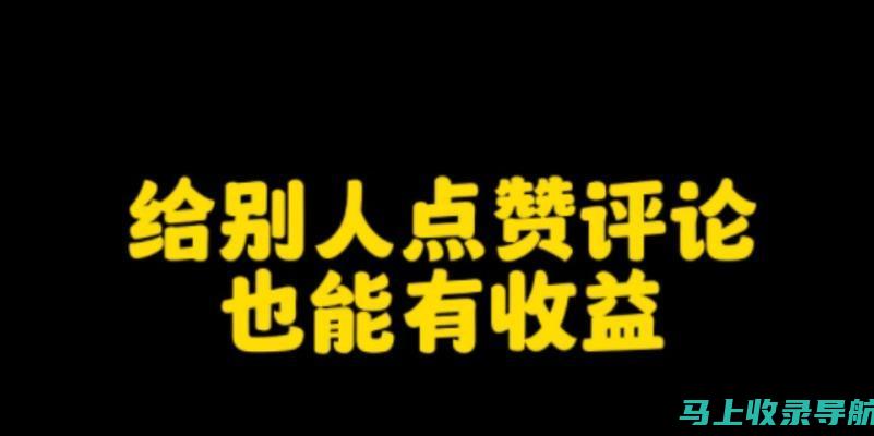 揭开网站流量背后之谜：站长统计官方网站的详细访问者分析