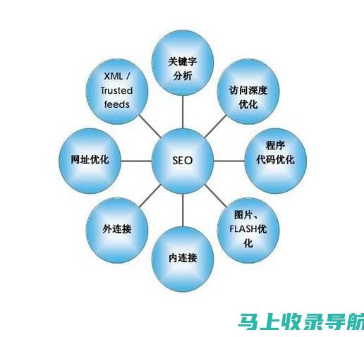 SEO入门指南：掌握从头开始的必备知识