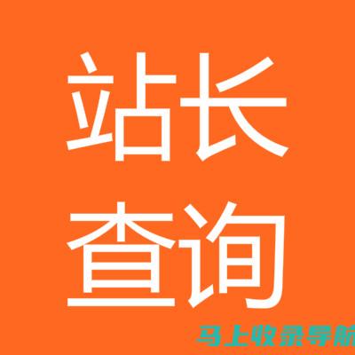 揭开IP寻址的面纱：ip查询站长之家的终极指南