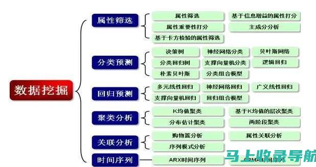 从新手到专家级掌握