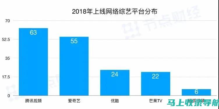 站长统计视频网站的实战指南：如何利用数据提升网站性能