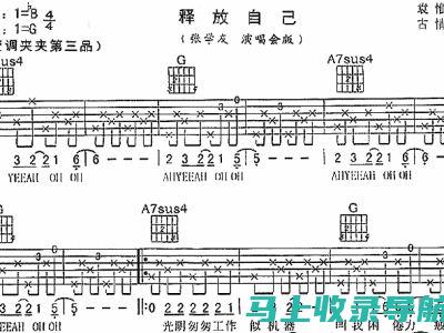 释放你的音乐潜能：站长素材成为你的音乐助力器