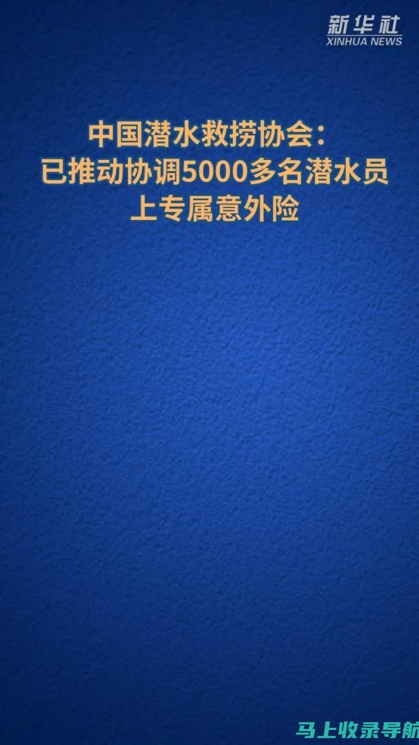 释放排名潜力的必备应用：顶级 SEO 关键字优化工具