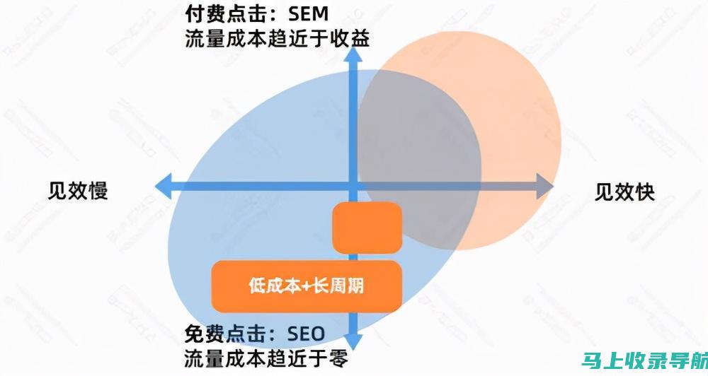 SEO 趋势：了解最新 SEO 趋势和创新，保持领先地位