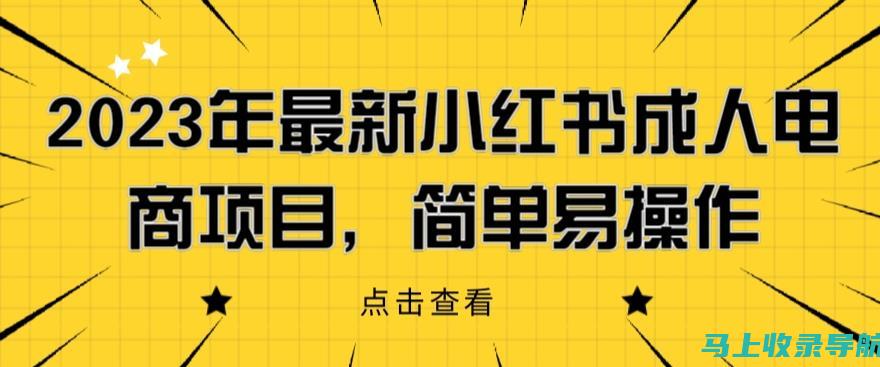 揭秘站长的等级体系：从菜鸟到专家