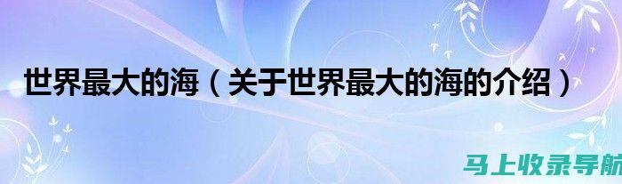 超越排名：海外 SEO 推广工具的绩效跟踪和分析