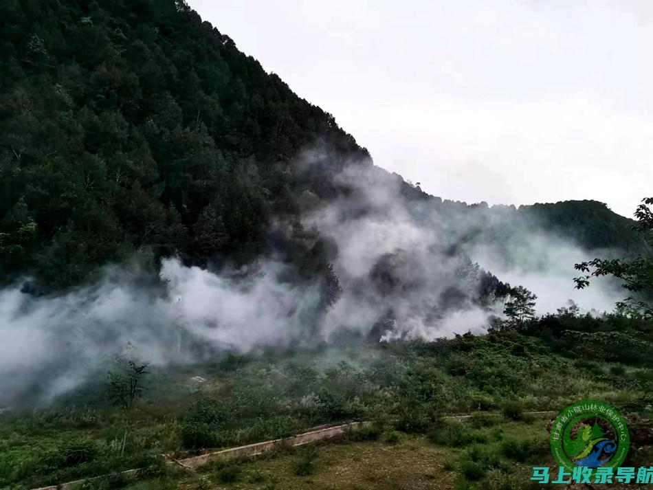 林业站副站长：森林防火的指挥官，守护生命和财产安全