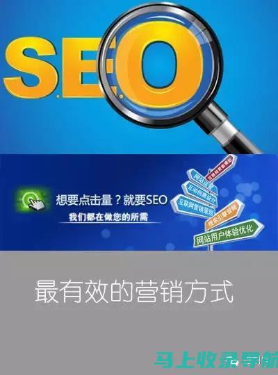 SEO 新手教程：一步一步提升您的网站流量