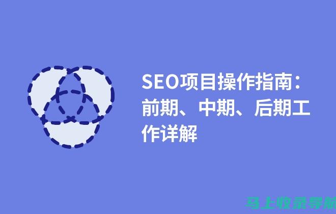 SEO 初学者指南：提升您的网站可见度和在线影响力