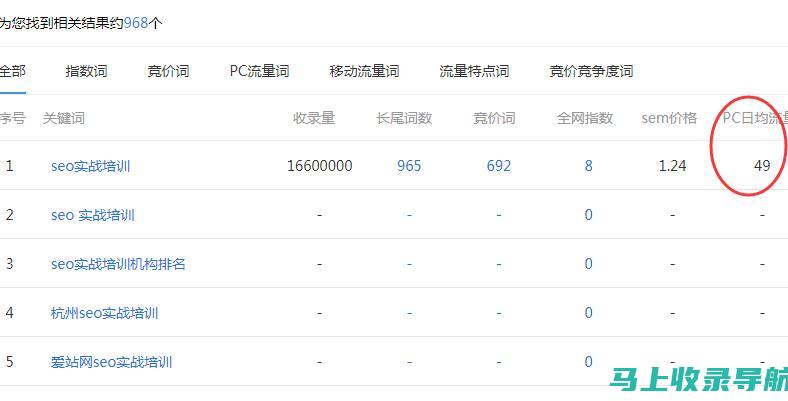 站长统计指南：从初学者到专家