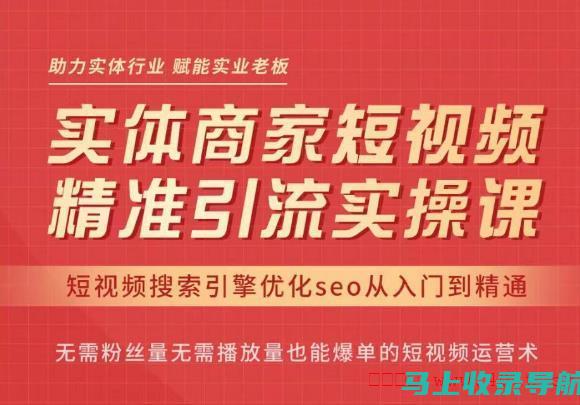 抖音SEO实战指南：从零到一打造爆款视频