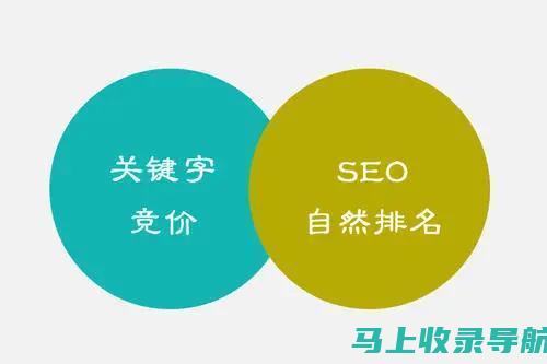 百度SEO：只需一个工具即可主导搜索结果