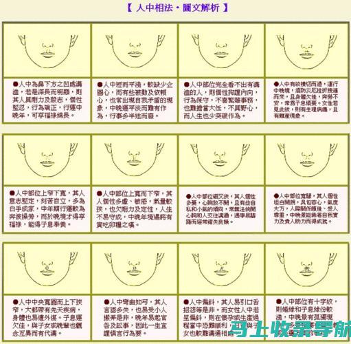 面向所有技能水平的站长，站长之家html免费模板，让建站变得容易