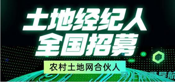 乡镇农经站站长级别深度分析：基层农业经济管理的中枢力量