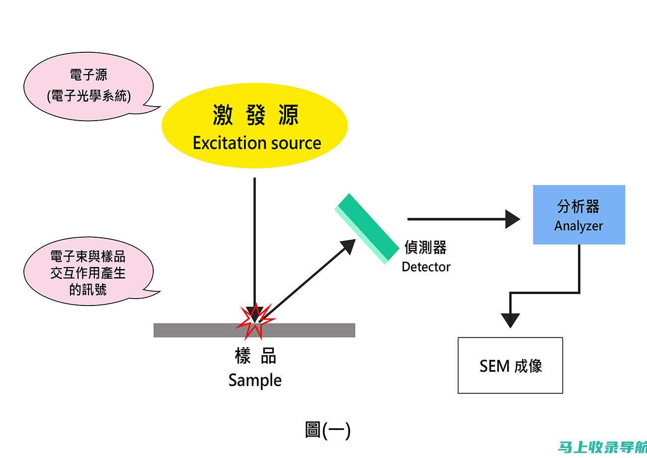 SEM 101：初学者必备指南，打造强大的在线影响力