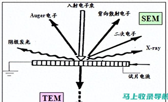 掌握 SEM 的艺术：提高在线可见度和流量的策略