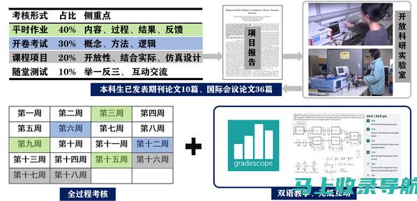 站长的课程之梯，攀登知识的高峰