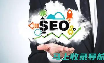 用案例解析SEO优化全流程