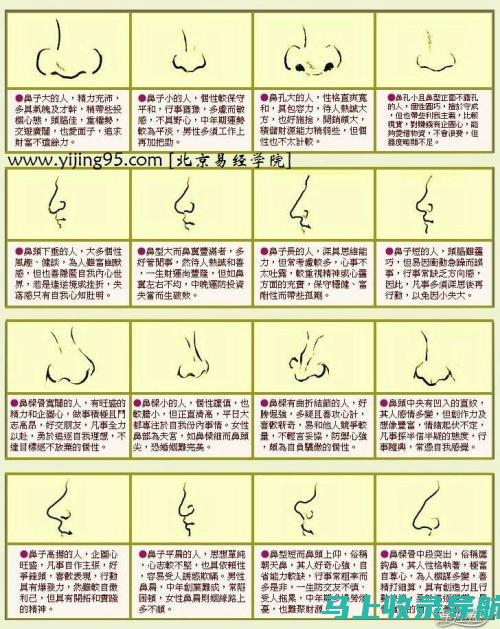 面向初学者的SEO教程：零基础入门，提升您的网站流量