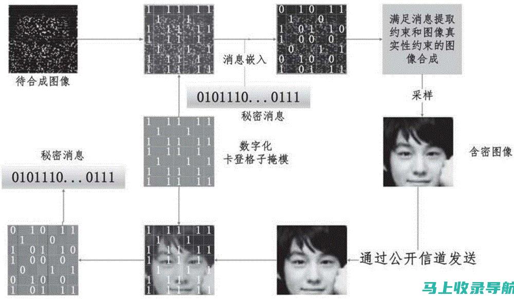 技术大揭密：揭开 WHOIS 查询域名归属的幕后秘密