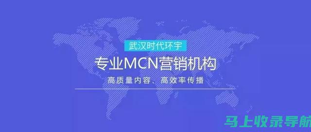 武汉抖音SEO优化中的数据分析与优化：持续提升账号表现