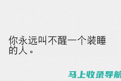 让你的文字脱颖而出：站长素材官网的字体解决方案