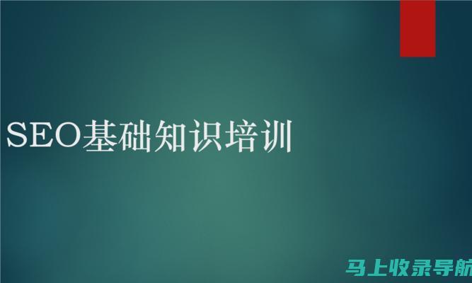 SEO初学者教程：从基础到进阶，打造你的优化技能