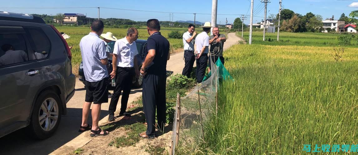 解析乡镇水利站站长的职责要义：打造安全稳定的水利工程体系