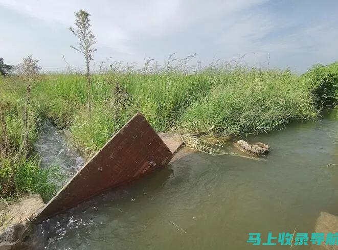 揭示乡镇水利站站长的工作职责：推动水利科学管理的重要角色