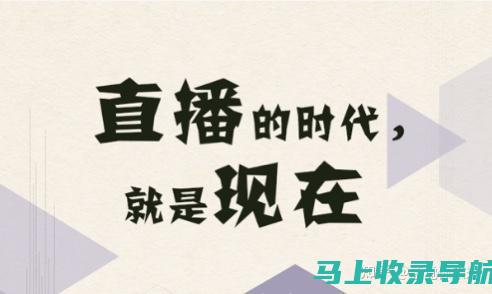 为新手站长准备的最佳网站项目：从零开始轻松经营