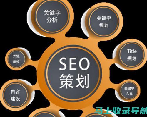 SEO与SEM的关系解析：从知乎看数字营销的多样化