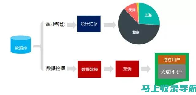 从数据中挖掘商机：站长工具插件的分析报告解读