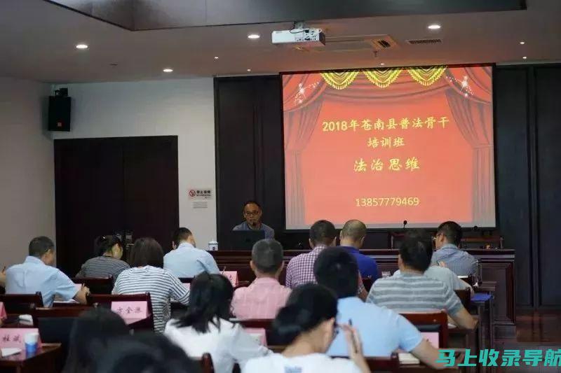 成功企业如何借助网络SEO推广机构运营实现爆发式增长