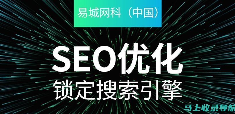 讲述SEO推广营销专家的成功故事：从新手到专业人士的转变