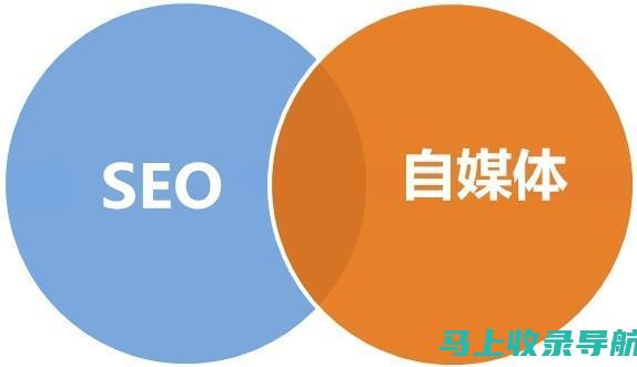 SEO推广营销专家常犯的错误：避免这些误区助你更快成功