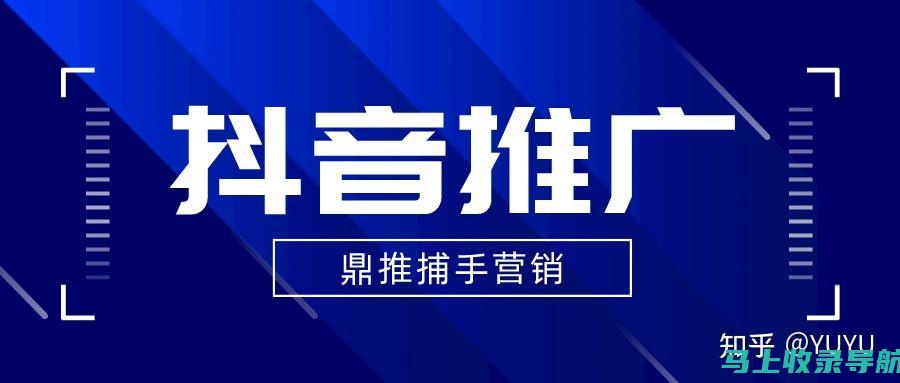 打造高效抖音SEO策略：从内容到互动的全方位提升