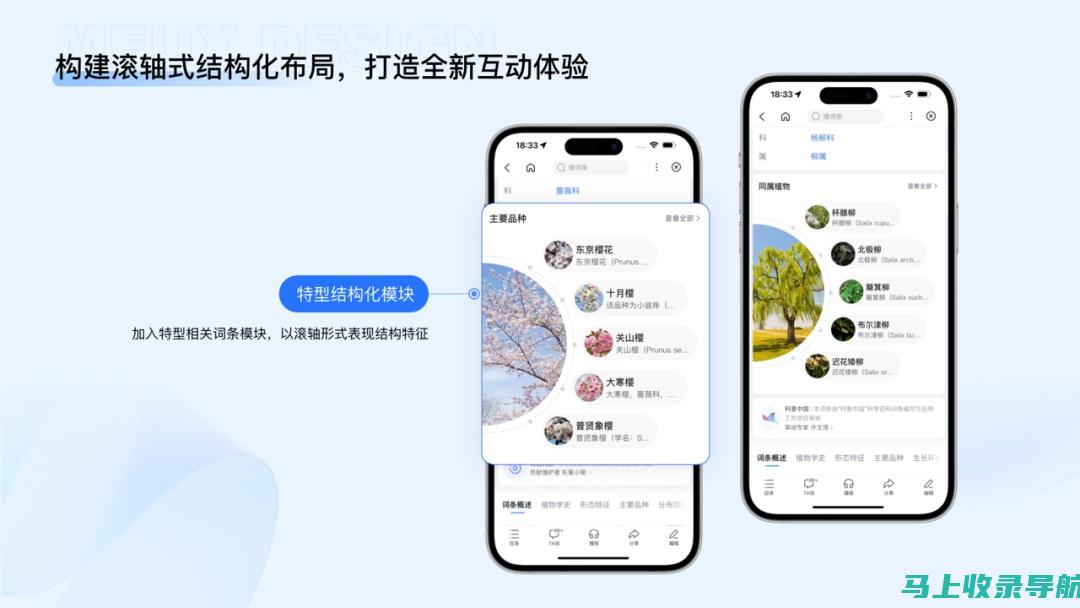 全面解读百度SEO优化的技巧与方法