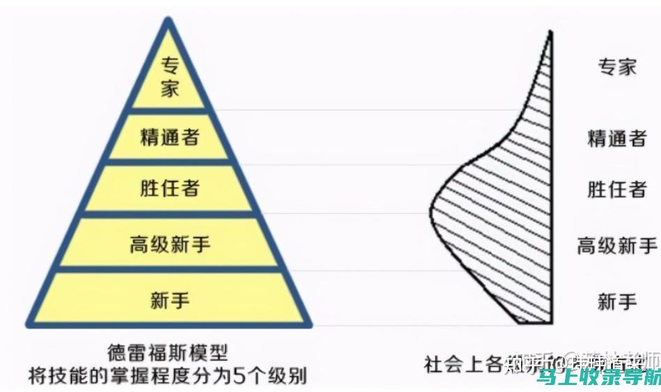 从新手到专家：如何掌握SEOSem的基础知识与技巧