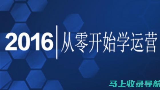 从零开始的网店SEO推广教程，逐步提升流量与转化率