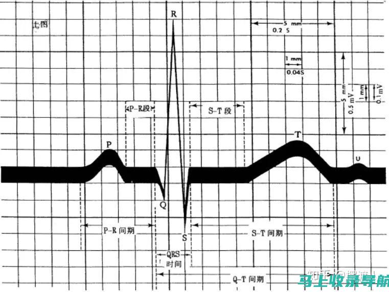 如何正确解读百度SEO排名工具提供的数据与报告