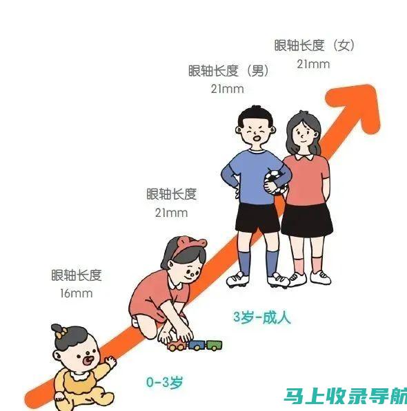 如何评估短视频SEO公司工作成果的指标与标准