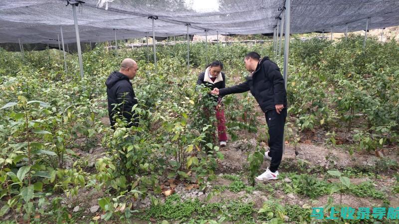 全国乡镇林业工作站站长的培训与继续教育的重要性