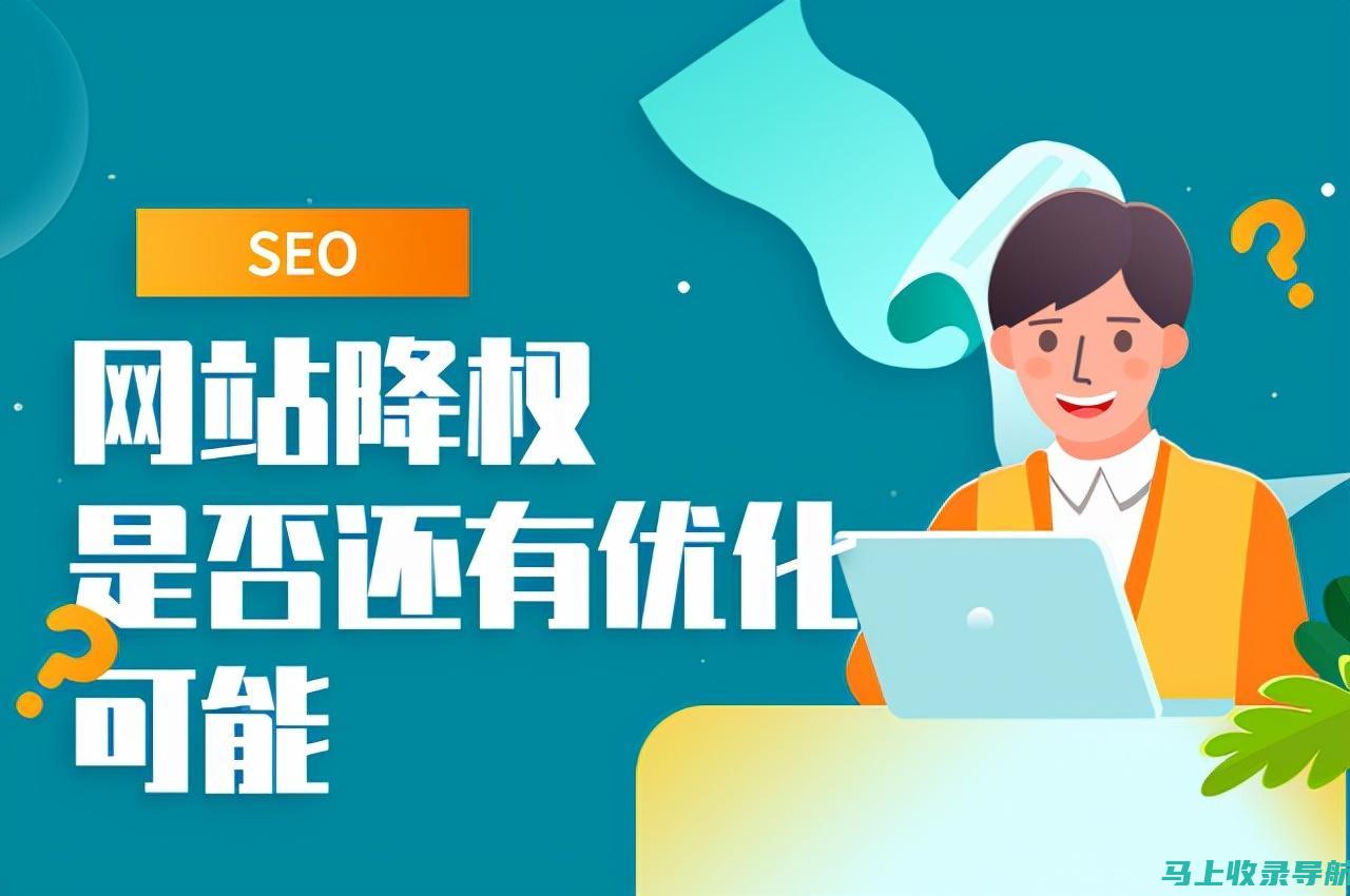 SEO服务的类型与现状分析：如何制定有效的网络战略