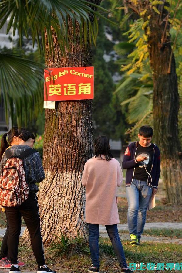 在英语学习中separate的重要性：从名词到动词的全面剖析