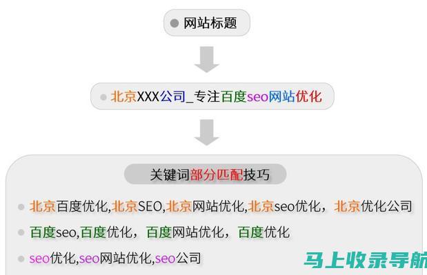 SEO排名是什么