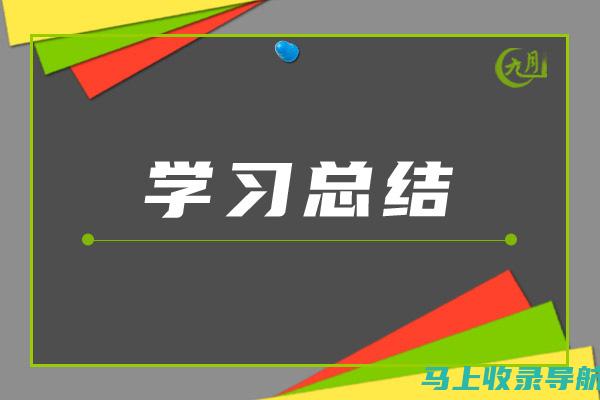 在总结中实现提升：统计站长个人发展与团队协作的重要性