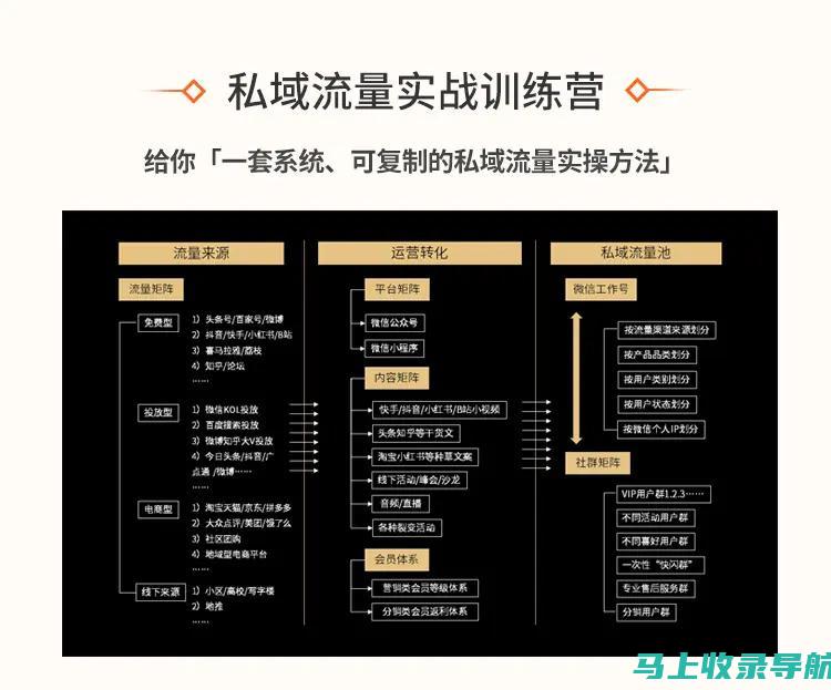 实现流量飞跃的关键：如何利用SEO搜索优化软件提升网站表现